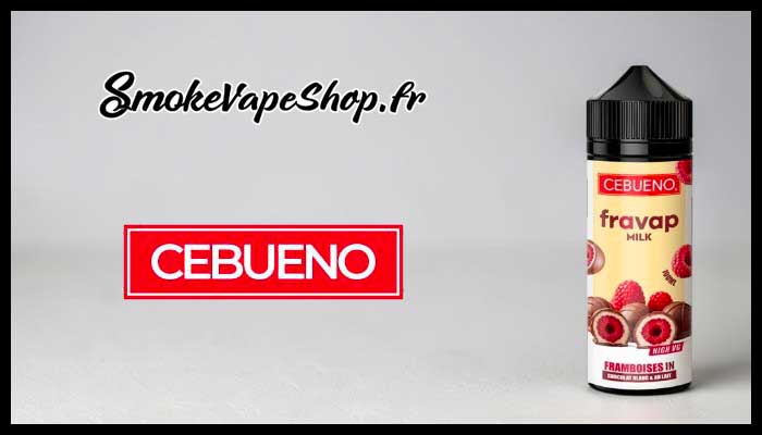 intro e liquide fravap