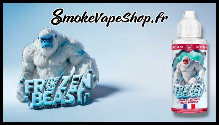 intro fruits du dragon baies rouges 100ml frozen beast