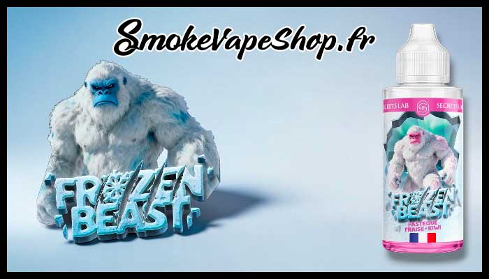 intro pasteque fraise kiwi 100 ml frozen beast