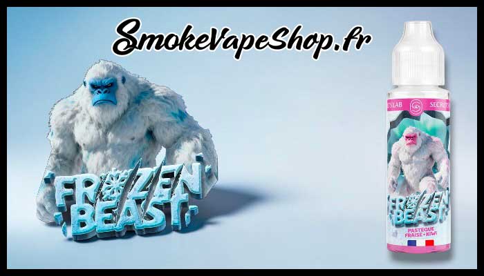 intro pasteque fraise kiwi 50 ml frozen beast