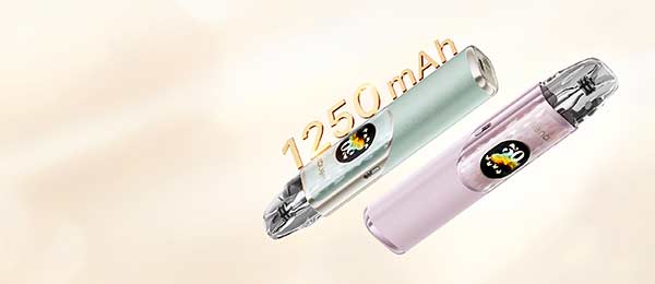 wenax q2 batterie